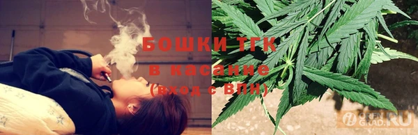 гидропоника Алзамай