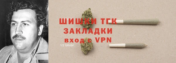 стафф Аркадак