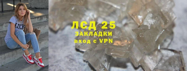 винт Лагань