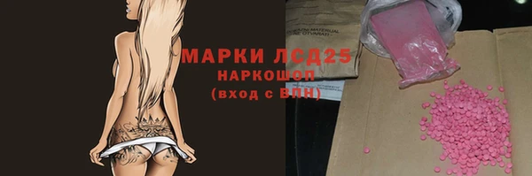 стаф Алексин
