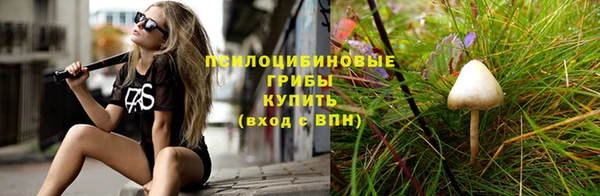 стаф Алексин