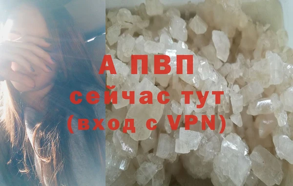 стафф Аркадак