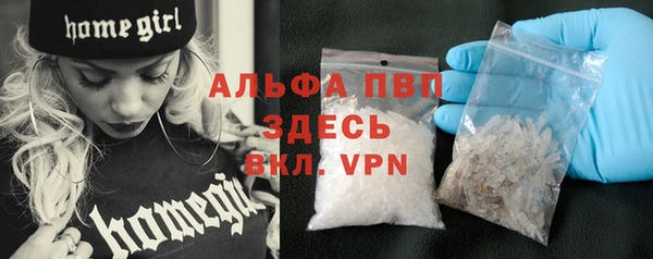 дмт Ладушкин