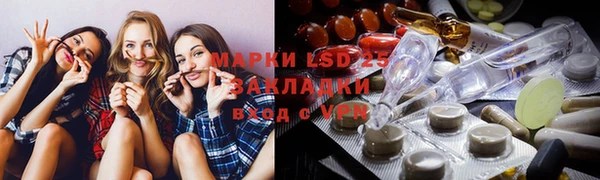 стаф Алексин