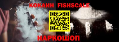тгк Кингисепп