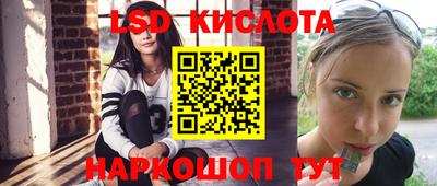 тгк Кингисепп