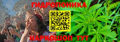 тгк Кингисепп