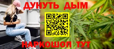 тгк Кингисепп