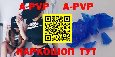 тгк Кингисепп