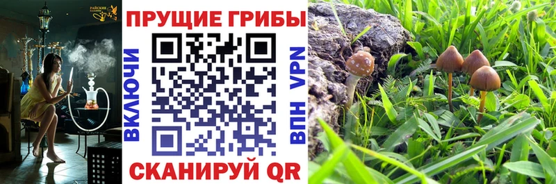 площадка наркотические препараты  Куйбышев  Галлюциногенные грибы мухоморы  наркотики 