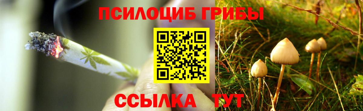 Галлюциногенные грибы прущие грибы  Вход с VPN  Галлюциногенные грибы Cubensis  Куйбышев 